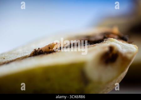 Ein Wurm in einer Bio-Birne, aufgenommen in Berlin, 10.09.2025. Berlin Deutschland *** Ein Wurm in einer organischen Birne, fotografiert in Berlin, 10 09 2025 Berlin Deutschland Copyright: XAmreixSchulzx Stockfoto