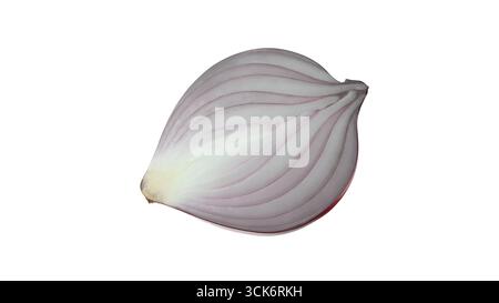 Eine Nahaufnahme einer in Scheiben geschnittenen Schalotte, die ihre Schichtstruktur und ihre blassviolette Farbe zeigt, die häufig beim Kochen verwendet wird. Stockfoto