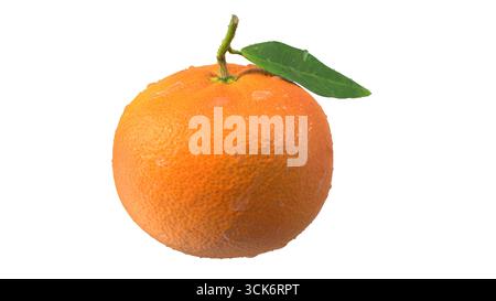 Eine frische, reife Orange mit einem grünen Blatt, die ihre strukturierte Haut und natürliche Wassertröpfchen zeigt. Stockfoto