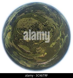 Buchenwald in der Nähe des Diemelsees, Fischauge, Nationalpark Diemelsee, Buchenwälder, UNESCO-Weltkulturerbe, Willingen (Hochland), Sauerland, Waldecker Stockfoto
