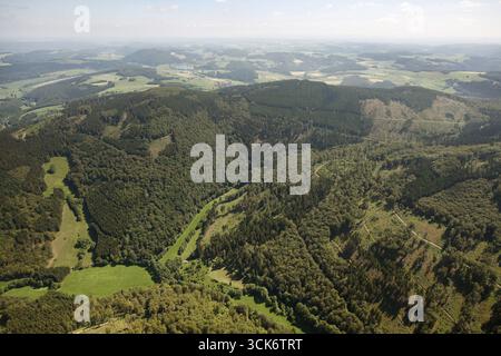 Nationalpark Diemelsee, Buchenwälder, UNESCO-Weltkulturerbe, Willingen (Hochland), Sauerland, Waldecker Land, Naturpark Diemelsee, Hessen, Stockfoto