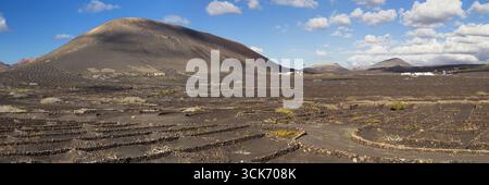 Panoramablick auf die Weinberge von La Geria, Lanzarote, Kanarische Inseln, Spanien. Stockfoto