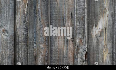 Ein strukturierter Holzhintergrund mit rustikaler und natürlicher Ästhetik, ideal für Grafikdesign- oder Fotoprojekte. Stockfoto