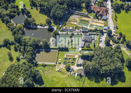 Luftaufnahme, Angelparadies Schoel, Fischzucht, Forellenzucht und Fischteiche, Lichtenhagen, Schermbeck, Ruhrgebiet, Nordrhein-Westfalen, Deutschland, f Stockfoto