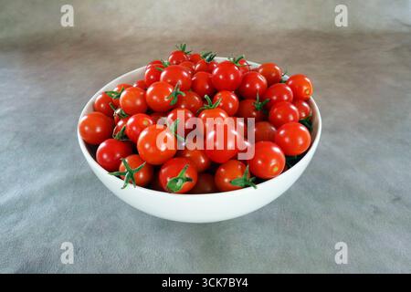 Eine Schüssel reifer, biologischer Kirschtomaten, frisch aus der Ernte aus einem kleinen Bio-Garten in der Nähe von Bend, Oregon. Stockfoto