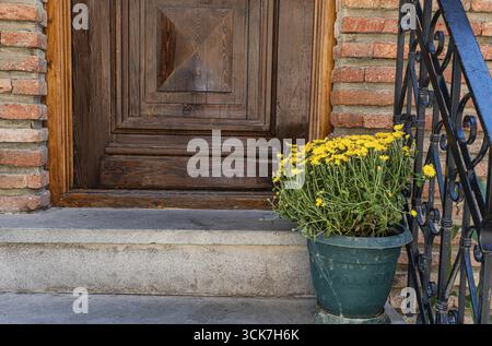 Blühende gelbe Blumen in der Nähe der Tür auf der Treppe Stockfoto