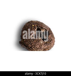 Eine Nahaufnahme eines runden, dunklen, strukturierten Objekts, das an Tierkot erinnert. Stockfoto