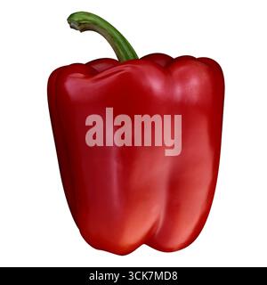 Eine leuchtend rote Paprika mit glatter Oberfläche und grünem Stiel. Stockfoto