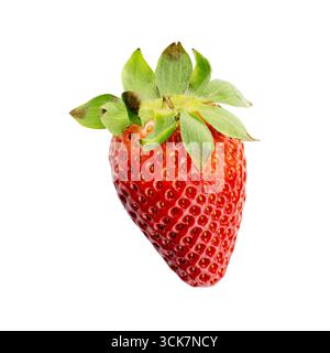 Eine frische Erdbeere mit grünen Blättern auf weißem Hintergrund, die ihre lebendige Farbe und Textur unterstreicht. Stockfoto