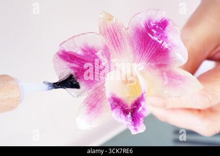 Nahaufnahme der weißen und violetten Orchideen, die während des Bastelprozesses des DIY Workshops Harz in mehreren Schichten aufgetragen werden Stockfoto