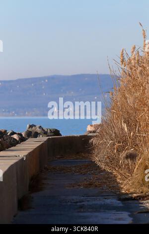 Ein malerischer Weg führt zu einem wunderschönen See mit Bergen in der Ferne. Stockfoto