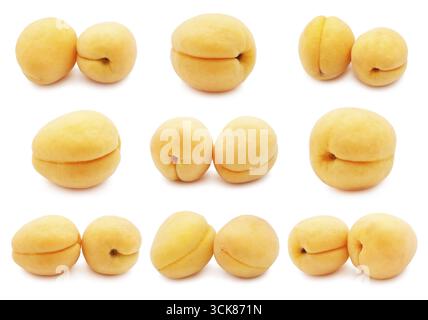 Sammlung von frischen süßen Aprikosen isoliert auf weißem Hintergrund Stockfoto