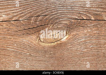 Holzstruktur Nahaufnahme mit natürlichem Muster. Braune Holzoberfläche. Rustikaler Holzhintergrund mit Kornlinien. Natürliches Holzmaterial Makro. Stockfoto
