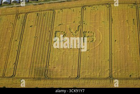 Luftaufnahme, Symbole und Schilder in einem Feld, BVB-Logo, Boenninghauser Straße, Hostedde, Dortmund, Ruhrgebiet, Nordrhein-Westfalen, Deutschland, DE, Europ Stockfoto