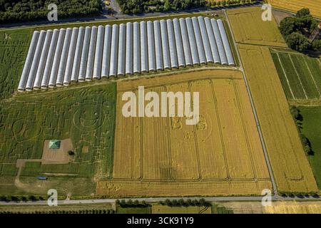 Luftaufnahme, Symbole und Schilder im Feld, Smiley, Herz und BVB-Logo, Erdbeeranbau unter Folie, Boenninghauser Straße, Hostedde, Dortmund, Stockfoto