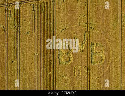Luftaufnahme, Symbole und Schilder in einem Feld, BVB-Logo, Boenninghauser Straße, Hostedde, Dortmund, Ruhrgebiet, Nordrhein-Westfalen, Deutschland, DE, Europ Stockfoto