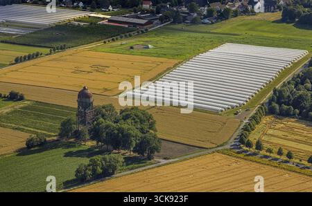 Luftaufnahme, Wasserturm Lanstroper EI, Symbole und Schilder auf einem Feld, BVB-Logo, landwirtschaftliche Fläche mit Erdbeeranbau unter Folie, Boenninghaus Stockfoto