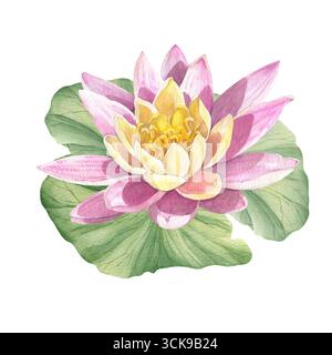Aquarellrosa Lotusblumen. Seerosen sind handgezeichnet. Komposition mit Lotus. Vorlage für die Gestaltung von Karten, Einladungen und Stoffen. Stockfoto