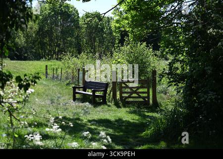 Holzbank und Landtor führen in eine Wiese, umgeben von Bäumen und Grün an einem sonnigen Sommertag. Stockfoto
