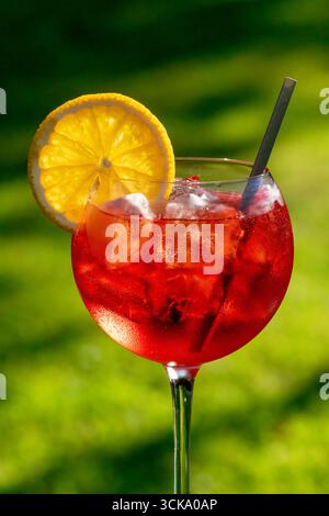 Glas klassischer roter Cocktail mit Eis und Orangenscheibe auf grünem Gartenhintergrund Stockfoto