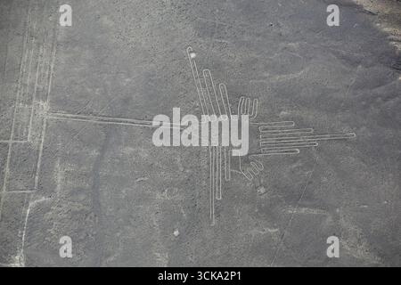 Luftaufnahme von Nazca-Linien - Kolibri Geoglyph, Peru. Die Linien wurden im Jahr 1994 als UNESCO-Weltkulturerbe ausgewiesen. Stockfoto