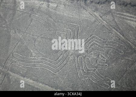 Luftaufnahme von Nazca-Linien - Spider Geoglyph, Peru. Die Linien wurden im Jahr 1994 als UNESCO-Weltkulturerbe ausgewiesen. Stockfoto