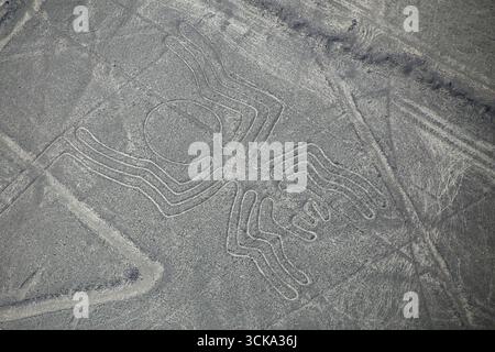 Luftaufnahme von Nazca-Linien - Spider Geoglyph, Peru. Die Linien wurden im Jahr 1994 als UNESCO-Weltkulturerbe ausgewiesen. Stockfoto