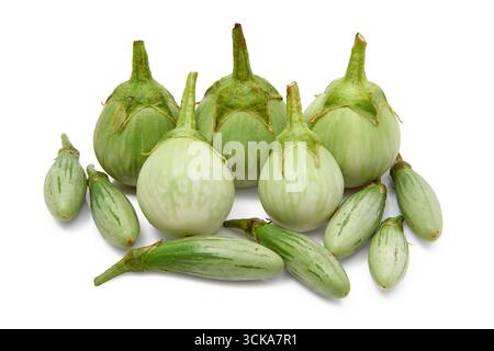 Eine Sammlung frischer grüner Auberginen, darunter größere runde und kleinere längliche Auberginen, auf einem sauberen weißen Hintergrund, perfekt für Stockfoto