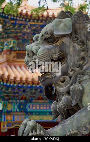 Detaillierte Nahaufnahme einer alten bronzenen Löwenmutter im Lama-Tempel in Peking Stockfoto