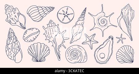 Kritzeln Sie Muscheln. Handgezeichnete Marine Muschelkollektion mit Seesternen, Austern, Muscheln, Spiralen und Muscheln. Meeresstrand, Muschelumrisse, Sommer-coa Stock Vektor