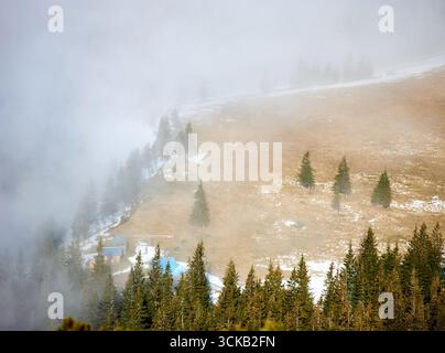 Kleine Hütte eingebettet in die Rodung am Berg, umgeben von dichten Kiefernwäldern. Die in Nebel gehüllte Szene schafft eine ruhige und geheimnisvolle Atmosphäre. Schneebesen liegen auf dem Boden. Stockfoto