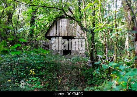 Typische rustikale Hütte im Wald im Soca-Tal, Slowneia Stockfoto