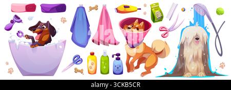 Design-Elemente für Haustierpflege, isoliert auf weißem Hintergrund. Vektor-Karikaturillustration von niedlichen Hunden, die in Seife und Wasser baden, glückliches Tier, das Dusche nimmt, Hundeshampoo Flaschen, Handtücher, Werkzeuge Stock Vektor