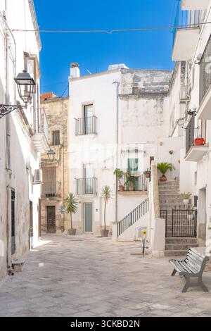 Ein Bild von Gebäuden zwischen Steingassen und mediterranen Balkonen im historischen Zentrum unter blauem Himmel, Süditalien. Grottaglie (Apulien, Italien) Stockfoto