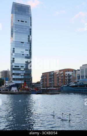 Enten auf der Themse schwimmen an Yachten und berühmten Gebäuden in Canary Wharf, London. Stockfoto