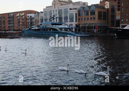 Enten auf der Themse schwimmen an Yachten und berühmten Gebäuden in Canary Wharf, London. Stockfoto