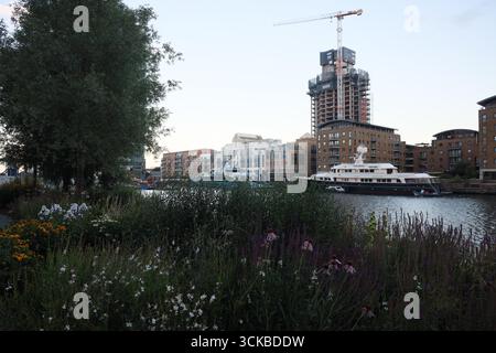 Wilde Blumen an der Themse verschmelzen mit dem Luxus der Canary Wharf in London. Stockfoto