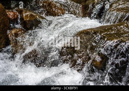 Nahaufnahme eines kleinen Wasserfalls, der über Felsen stürzt und weißen Schaum erzeugt. Stockfoto
