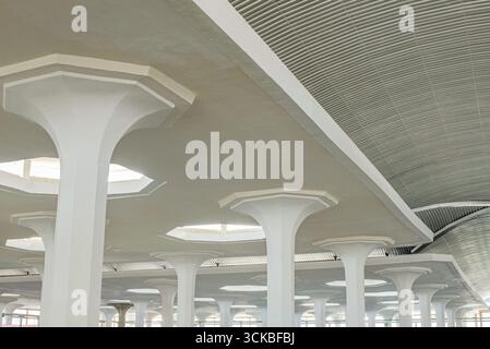 Innenblick auf einen modernen architektonischen Raum mit weißen Säulen und einer geschwungenen Decke mit Oberlichtern Stockfoto