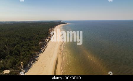 Aus der Vogelperspektive auf einen langen Sandstrand entlang der Ostsee in Palanga, Litauen, umgeben von dichten Kiefernwäldern und ruhigem türkisfarbenem Wasser, das sich hineinzieht Stockfoto