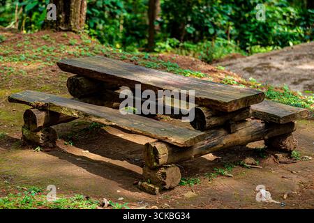 Rustikaler Picknicktisch aus Holz in Waldlage. Stockfoto