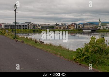 Tjornin Teich in Reykjavik, Island, mit Gänsen in der Nähe eines Weges, einer kleinen Brücke und einer Skyline historischer und moderner Gebäude unter bewölktem Himmel. Stockfoto