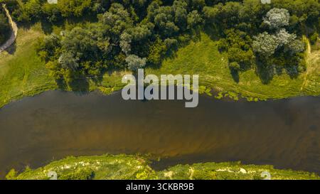 Aus der Vogelperspektive auf einen ruhigen, bräunlichen Fluss in Nowy Lubiel, Polen, umgeben von dichten Bäumen und grasbewachsenem Gelände, mit lebendiger grüner Vegetation und Baumschatten Stockfoto