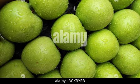 05.09.2025, Apfel Oma Smith. *** 05 09 2025, Granny Smith Apfel Stockfoto
