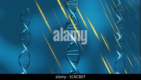 Schwimmende halbtransparente DNA-Helices, die sich über blauem Gradienten bewegen und goldene Lichtstreifen zeigen. Moleküle, Genetik, Biochemie, Wissenschaft, Innovation Stockfoto