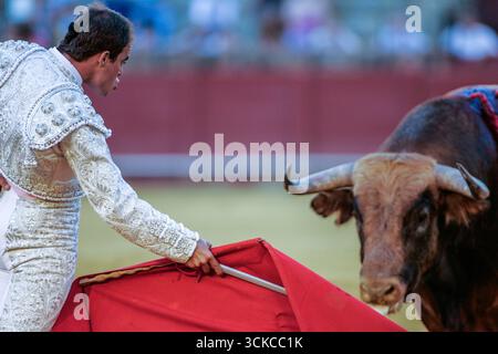 Sevilla, Spanien, 15. August 2007, Antonio José Blanco demonstriert Können und Tapferkeit auf der Real Maestranza Stierkampfarena. Sein kontrollierter Muletazo zeigt cla Stockfoto