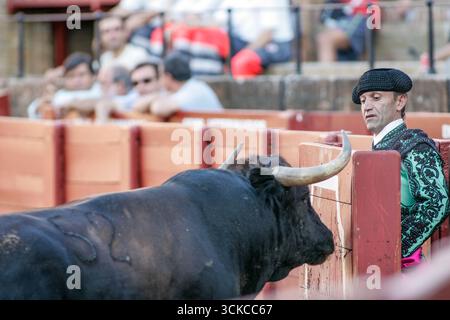 Sevilla, Spanien, 15. August 2007, Ein Mitglied der Cuadrilla starrt den Stier hinunter, der den Burladero auf der Real Maestranza Stierkampfarena in Sevilla angreift und einen gefangen nimmt Stockfoto