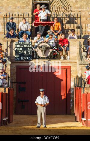 Sevilla, Spanien, 15. August 2007, in der echten Maestranza Stierkampfarena verschmelzen Tradition und Spannung, während der Torilero auf das Signal des Präsidenten an Sie wartet Stockfoto