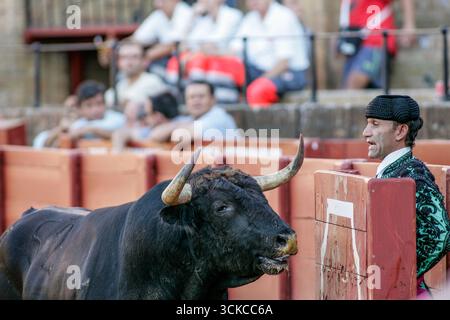 Sevilla, Spanien, 15. August 2007, Ein Matador schließt die Augen mit einem aufladenden Bullen auf der Real Maestranza Stierkampfarena in Sevilla, Andalusien. Stockfoto