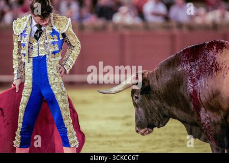 Sevilla, Spanien, 15. August 2007, zeichnet Cesar Giron geschickt einen langen Muletazo in Sevilla und zeigt seine Technik und Gelassenheit während eines klassischen Stierkampfs Stockfoto
